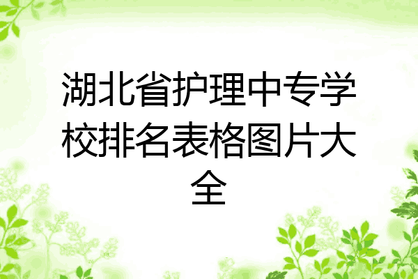 湖北省护理中专学校排名表格图片大全