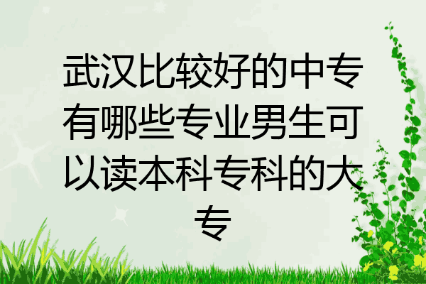 武汉比较好的中专有哪些专业男生可以读本科专科的大专