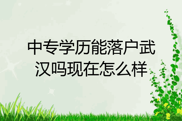 中专学历能落户武汉吗现在怎么样