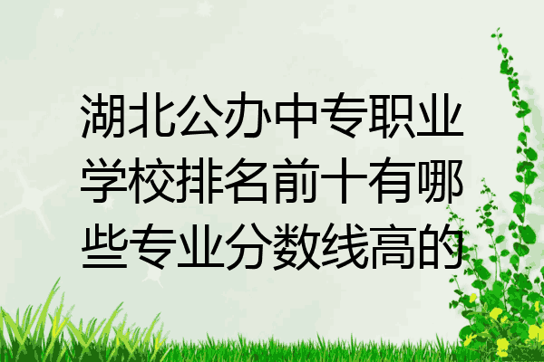 湖北公办中专职业学校排名前十有哪些专业分数线高的