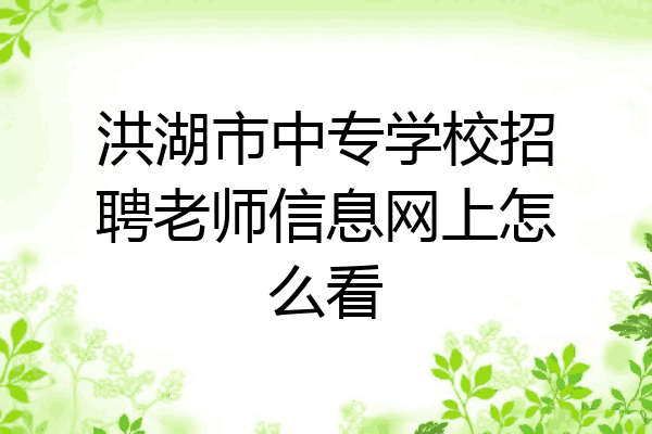洪湖市中专学校招聘老师信息网上怎么看