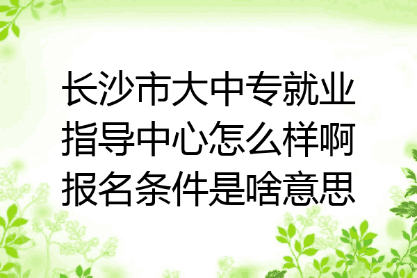 长沙市大中专就业指导中心怎么样啊报名条件是啥意思