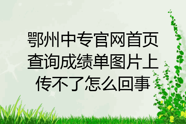 鄂州中专官网首页查询成绩单图片上传不了怎么回事