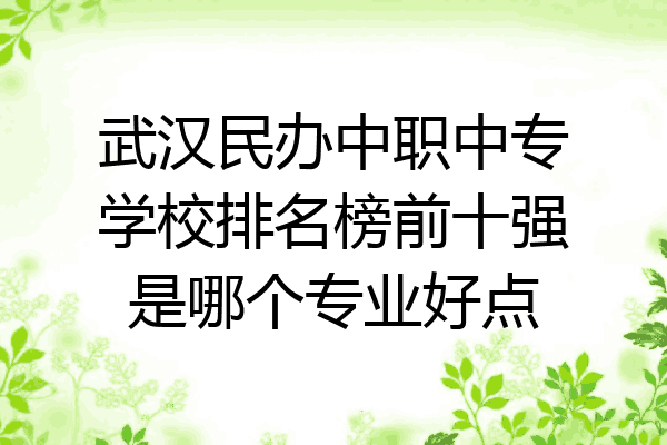 武汉民办中职中专学校排名榜前十强是哪个专业好点