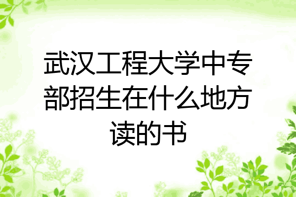 武汉工程大学中专部招生在什么地方读的书