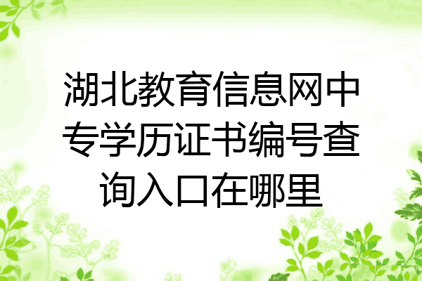 湖北教育信息网中专学历证书编号查询入口在哪里