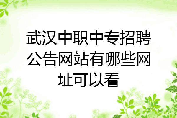 武汉中职中专招聘公告网站有哪些网址可以看