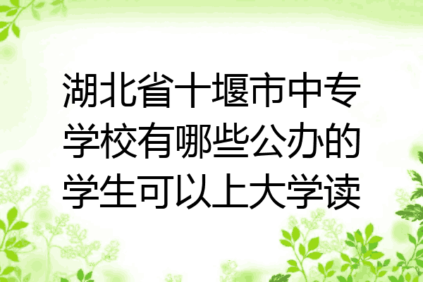 湖北省十堰市中专学校有哪些公办的学生可以上大学读