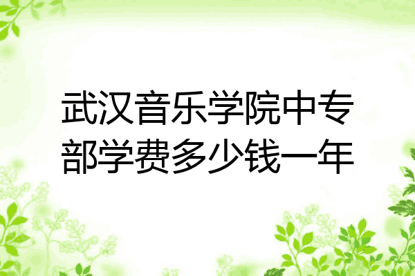 武汉音乐学院中专部学费多少钱一年