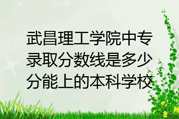 武昌理工学院中专录取分数线是多少分能上的本科学校