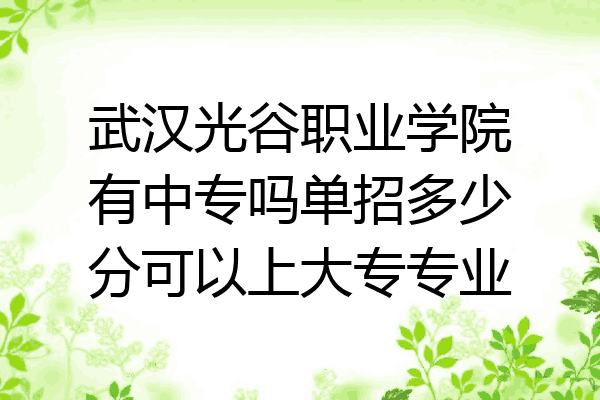 武汉光谷职业学院有中专吗单招多少分可以上大专专业