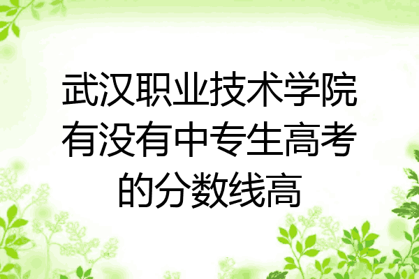 武汉职业技术学院有没有中专生高考的分数线高