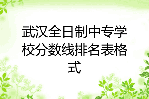 武汉全日制中专学校分数线排名表格式