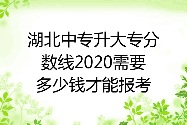 湖北中专升大专分数线2020需要多少钱才能报考