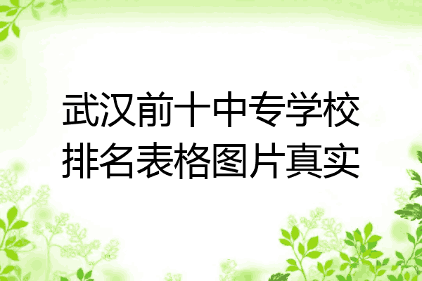 武汉前十中专学校排名表格图片真实
