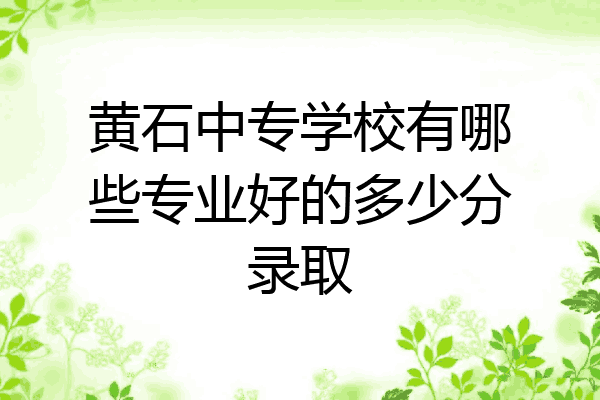 黄石中专学校有哪些专业好的多少分录取