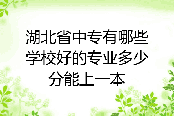 湖北省中专有哪些学校好的专业多少分能上一本
