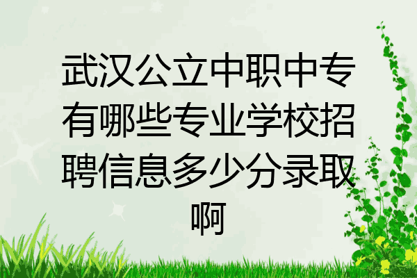 武汉公立中职中专有哪些专业学校招聘信息多少分录取啊