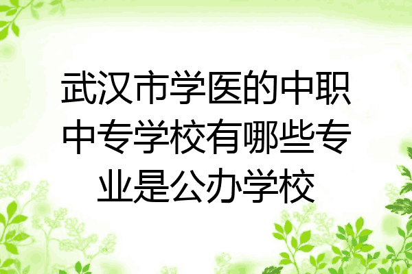 武汉市学医的中职中专学校有哪些专业是公办学校