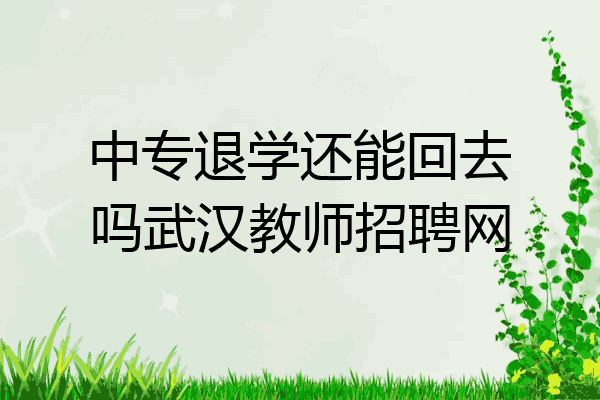 中专退学还能回去吗武汉教师招聘网