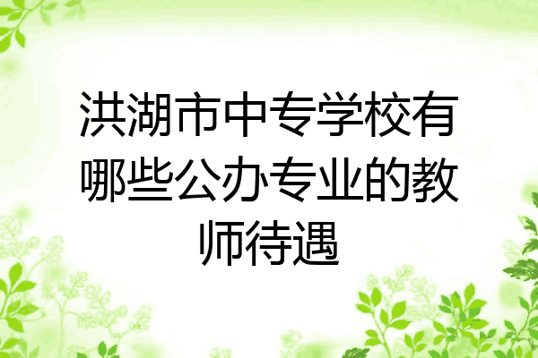 洪湖市中专学校有哪些公办专业的教师待遇