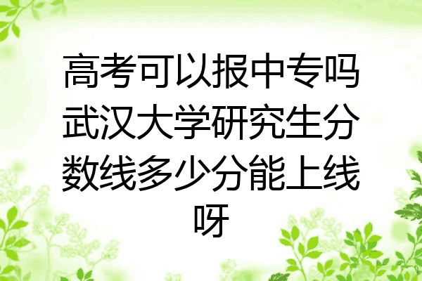 高考可以报中专吗武汉大学研究生分数线多少分能上线呀