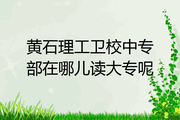 黄石理工卫校中专部在哪儿读大专呢