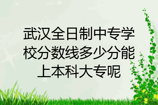 武汉全日制中专学校分数线多少分能上本科大专呢