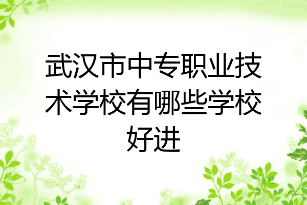 武汉市中专职业技术学校有哪些学校好进