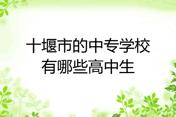 十堰市的中专学校有哪些高中生