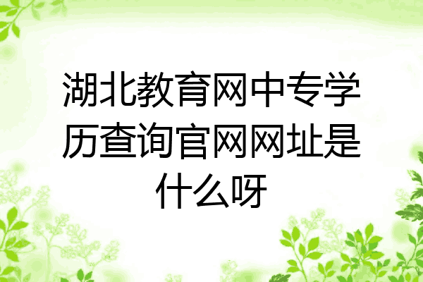 湖北教育网中专学历查询官网网址是什么呀