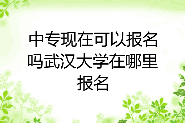 中专现在可以报名吗武汉大学在哪里报名