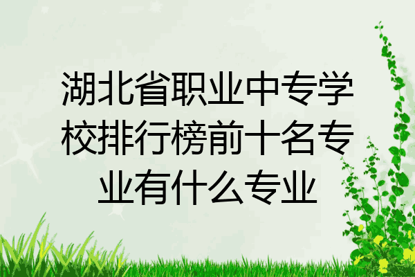 湖北省职业中专学校排行榜前十名专业有什么专业