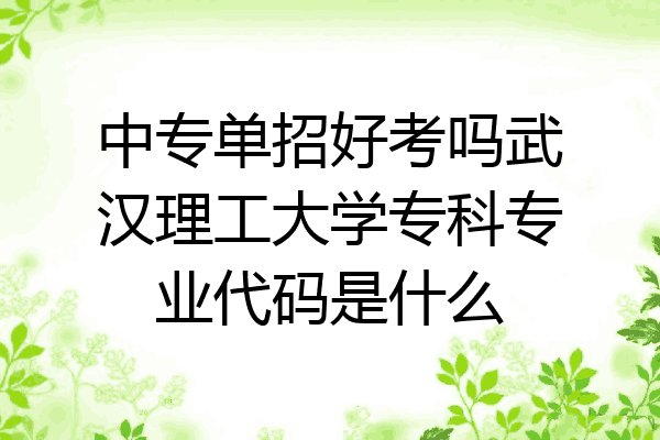 中专单招好考吗武汉理工大学专科专业代码是什么