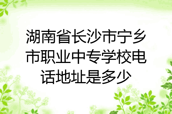 湖南省长沙市宁乡市职业中专学校电话地址是多少