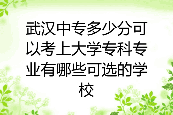 武汉中专多少分可以考上大学专科专业有哪些可选的学校