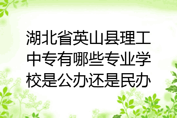 湖北省英山县理工中专有哪些专业学校是公办还是民办