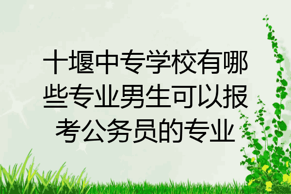 十堰中专学校有哪些专业男生可以报考公务员的专业