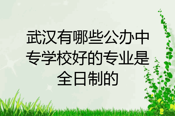 武汉有哪些公办中专学校好的专业是全日制的