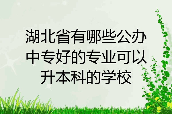 湖北省有哪些公办中专好的专业可以升本科的学校