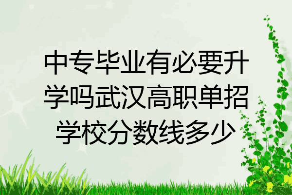 中专毕业有必要升学吗武汉高职单招学校分数线多少