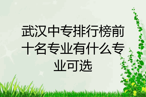 武汉中专排行榜前十名专业有什么专业可选