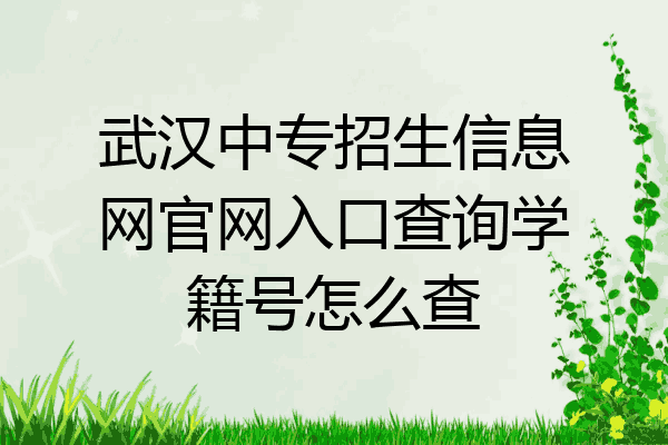 武汉中专招生信息网官网入口查询学籍号怎么查