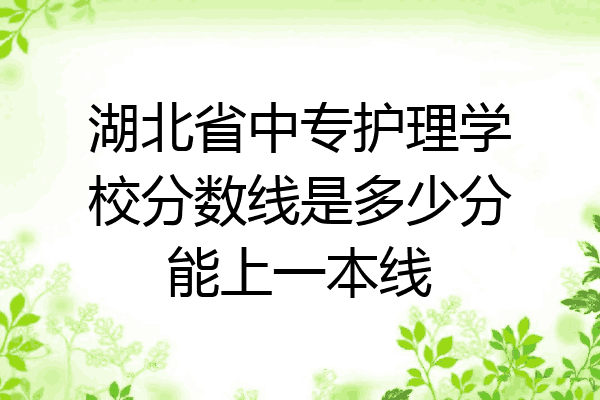 湖北省中专护理学校分数线是多少分能上一本线