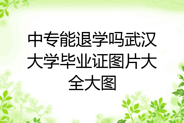 中专能退学吗武汉大学毕业证图片大全大图
