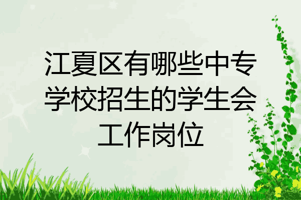 江夏区有哪些中专学校招生的学生会工作岗位