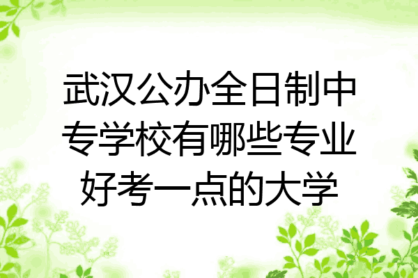 武汉公办全日制中专学校有哪些专业好考一点的大学