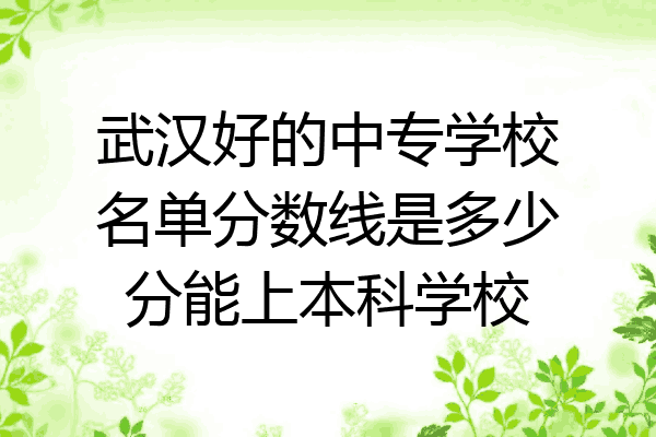 武汉好的中专学校名单分数线是多少分能上本科学校