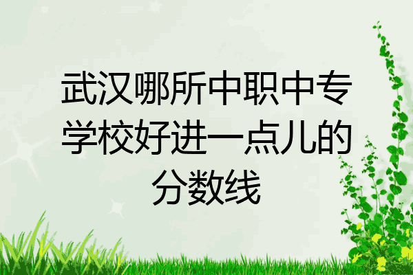 武汉哪所中职中专学校好进一点儿的分数线