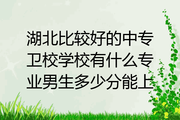 湖北比较好的中专卫校学校有什么专业男生多少分能上